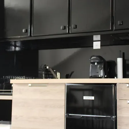 Apartman Pyrene Holidays - La Fontaine - Locations Voyage Et Cure Thermale A De Bigorre
