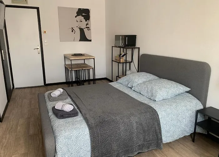 Pyrene Holidays - La Fontaine - Locations Voyage Et Cure Thermale A De Bigorre *