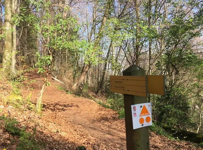 Pyrene Holidays - La Fontaine - Locations Voyage Et Cure Thermale A De Bigorre 아파트 바네르드비고르