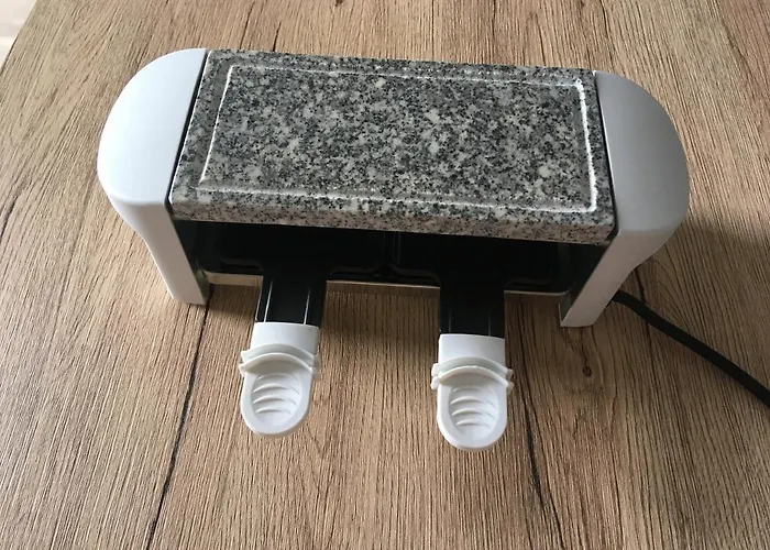 Pyrene Holidays - La Fontaine - Locations Voyage Et Cure Thermale A De Bigorre * 바네르드비고르