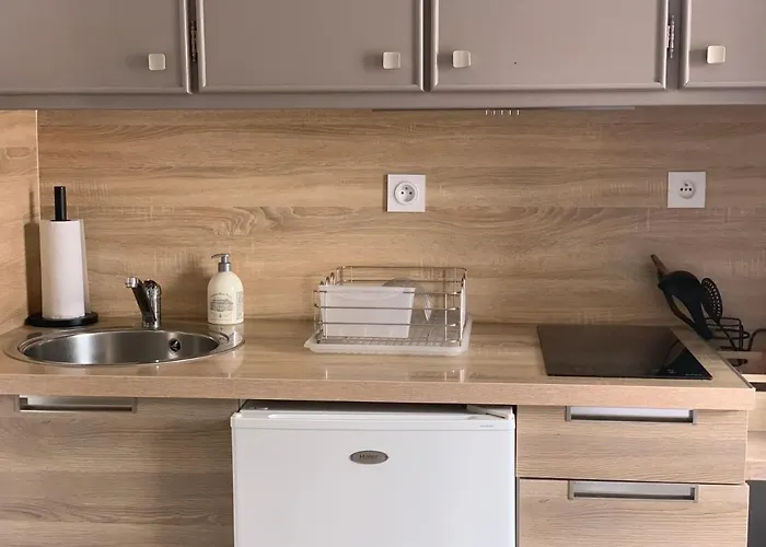 Pyrene Holidays - La Fontaine - Locations Voyage Et Cure Thermale A De Bigorre * 바네르드비고르